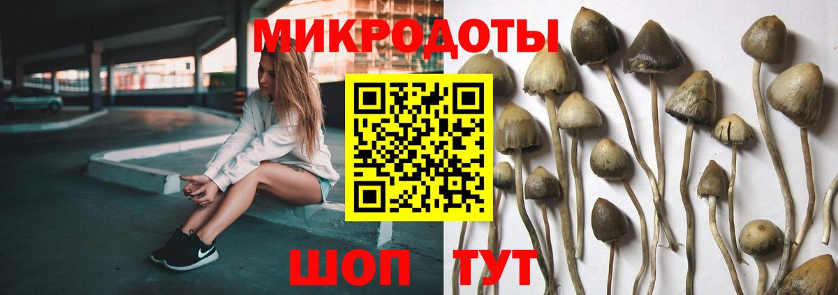 Псилоцибиновые грибы Psilocybine cubensis Арзамас