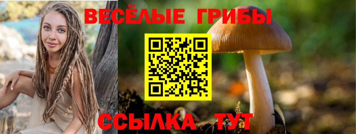 сколько стоит  Вход с VPN  Галлюциногенные грибы Magic Shrooms  Арзамас  Псилоцибиновые грибы Psilocybine cubensis 